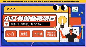 小红书创业粉项目日+500粉,每天20分钟躺赚长尾收益,无脑操作,宝妈,小白抓紧冲【揭秘】-八爪鱼资源库