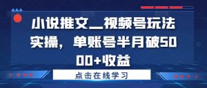 小说推文—视频号玩法实操,单账号半月破5000+收益-八爪鱼资源库