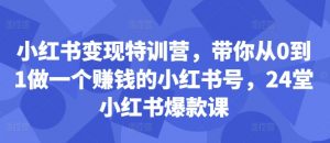 小红书变现特训营,带你从0到1做一个赚钱的小红书号,24堂小红书爆款课-八爪鱼资源库