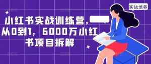 小红书实战训练营,从0到1,6000万小红书项目拆解-八爪鱼资源库