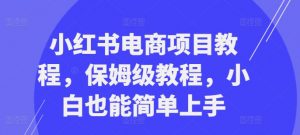 小红书电商项目教程,保姆级教程,小白也能简单上手-八爪鱼资源库