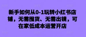 新手如何从0-1玩转小红书店铺,无需囤货、无需出镜,可在家低成本运营开店-八爪鱼资源库