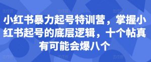 小红书暴力起号特训营,掌握小红书起号的底层逻辑,十个帖真有可能会爆八个-八爪鱼资源库