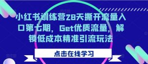 小红书训练营28天撕开流量入口第七期，Get优质流量，解锁低成本精准引流玩法-八爪鱼资源库