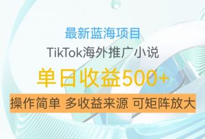 最新蓝海项目，利用tiktok海外推广小说赚钱佣金，简单易学，日入500+，可矩阵放大【揭秘】-八爪鱼资源库