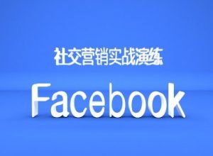 Facebook社交营销实战演练,外贸人绝对不能错过的营销推广平台-八爪鱼资源库