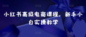 小红书高级电商课程,新手小白实操教学-八爪鱼资源库