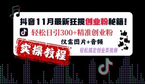 抖音11月最新狂揽创业粉秘籍,轻松日引300+精准创业粉,仅需图片+音频,轻松搞定创业类视频-八爪鱼资源库