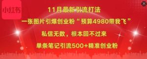 小红书11月最新图片打粉，一张图片引爆创业粉，“预算4980带我飞”，单条引流500+精准创业粉-八爪鱼资源库