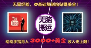 无需经验，0基础复制粘贴赚美刀，动动手指，月入3000+刀，无上限【揭秘】-八爪鱼资源库