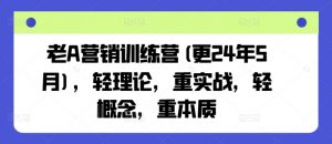 老A营销训练营(更24年11月)，轻理论，重实战，轻概念，重本质-八爪鱼资源库
