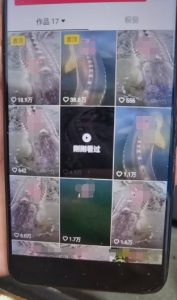 外面卖399的国学佛像原创暴力起号技术,快速起号,7天可达到一个万粉号-八爪鱼资源库