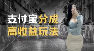 支付宝分成计划新玩法，利用交通事故视频，赚收益，轻松月入过W，操作简单【揭秘】-八爪鱼资源库