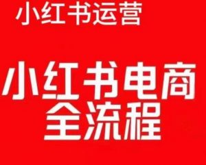 红薯电商实操课,小红书电商全流程-八爪鱼资源库