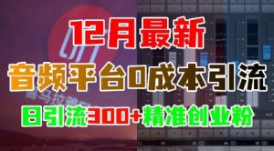 12月最新:音频平台0成本引流,日引流300+精准创业粉-八爪鱼资源库