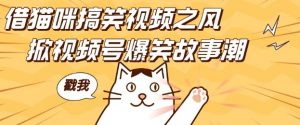 借猫咪搞笑视频之风,掀视频号爆笑故事潮,轻松日入四位数,无门槛快速入门!-八爪鱼资源库