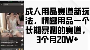 成人用品赛道新玩法，情趣用品一个长期暴利的赛道，3个月收益20个【揭秘】-八爪鱼资源库