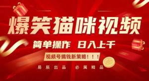 爆笑猫咪视频:简单操作,日入过K,视频号搞钱新策略【揭秘】-八爪鱼资源库