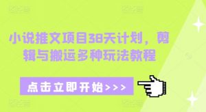 小说推文项目38天计划,剪辑与搬运多种玩法教程-八爪鱼资源库