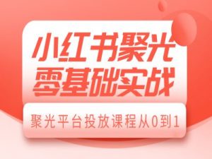 小红书聚光零基础实战，聚光平台投放课程从0到1-八爪鱼资源库