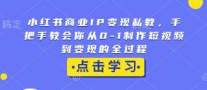小红书商业IP变现私教,手把手教会你从0-1制作短视频到变现的全过程-八爪鱼资源库