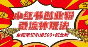 小红书创业粉引流神玩法，单图笔记引爆500+精准创业粉丝，私信狂潮接连不断-八爪鱼资源库