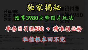 预算3980求带 图片玩法,单条日引流500+精准创业粉,私信根本回不完-八爪鱼资源库