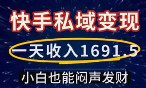 一天收入1691.5,快手私域变现,小白也能闷声发财-八爪鱼资源库