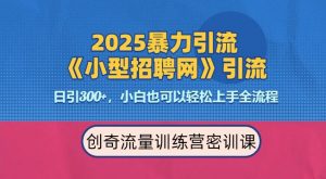 2025最新暴力引流方法,招聘平台一天引流300+,日变现多张,专业人士力荐-八爪鱼资源库