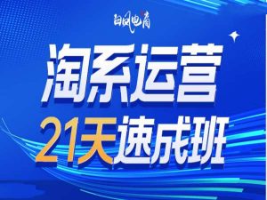 淘系运营21天速成班35期,年前最后一波和2025方向-八爪鱼资源库