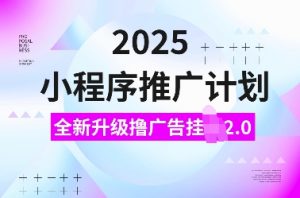 2025小程序推广计划,全新升级撸广告挂JI2.0玩法,日入多张,小白可做【揭秘】-八爪鱼资源库
