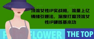 顶流女性IP实战班,流量上亿情绪引爆法,深度打磨顶流女性IP硬核基本功-八爪鱼资源库