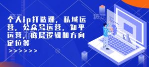 个人ip打造课，私域运营，公众号运营，知乎运营，底层逻辑和方向定位等-八爪鱼资源库
