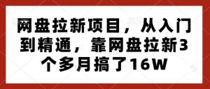 网盘拉新项目,从入门到精通,靠网盘拉新3个多月搞了16W-八爪鱼资源库
