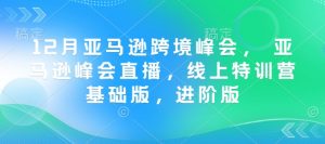 12月亚马逊跨境峰会, 亚马逊峰会直播,线上特训营基础版,进阶版-八爪鱼资源库