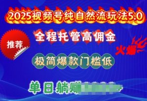 2025视频号纯自然流玩法5.0，全程托管高佣金，极简爆款门槛低，单日收益多张【揭秘】-八爪鱼资源库