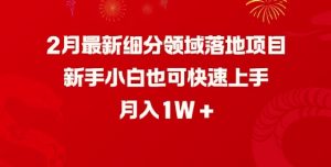 2月最新细分领域落地项目,新手小白也可快速上手,月入1W-八爪鱼资源库