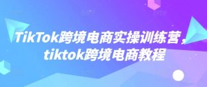 TikTok跨境电商实操训练营，tiktok跨境电商教程-八爪鱼资源库