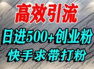 怎么打创业粉?快手求带视角精准引流创业粉,宝妈、学生群体日进500+精准流量-八爪鱼资源库